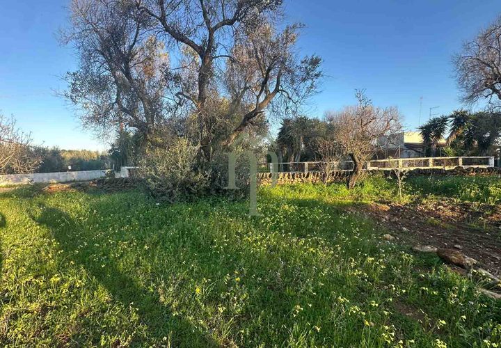 Helårsgrund i Carovigno, Brindisi, Carovigno - € 85.000 | Ref: TER.GROTTAMIRAN - foto 1